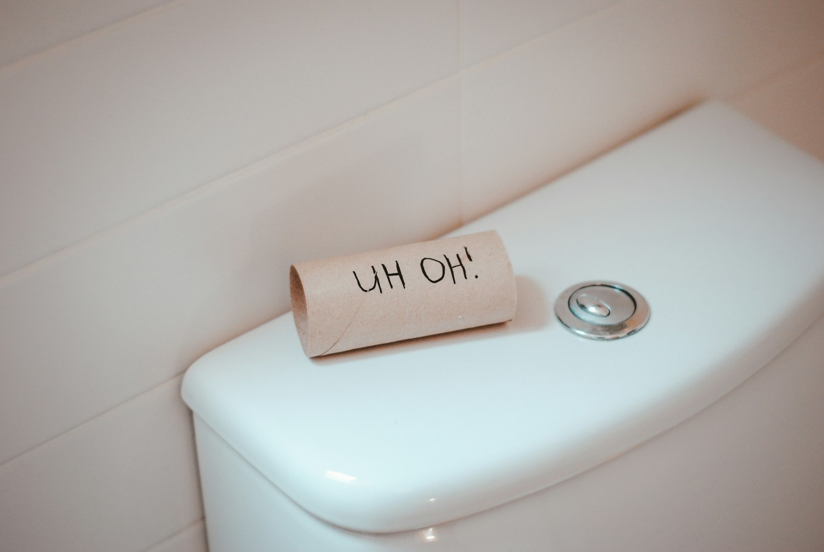 Toilet Repair 